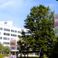 Liljeholmsstrand – Lustigkullagaraget
